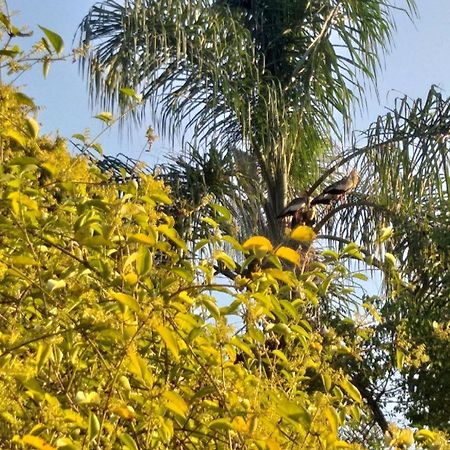 Pousada Do Sossego Conceição da Ibitipoca Habitación foto